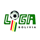 Bolivia Apertura League