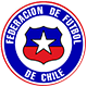 Chile Cup League