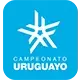 Uruguay Torneo Intermedio