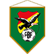 Bolivia Play-Offs League