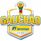 Brazil Campeonato Gaucho League