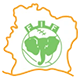 Ivory Coast Ligue 2 League