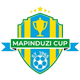 Zanzibar Mapinduzi Cup League